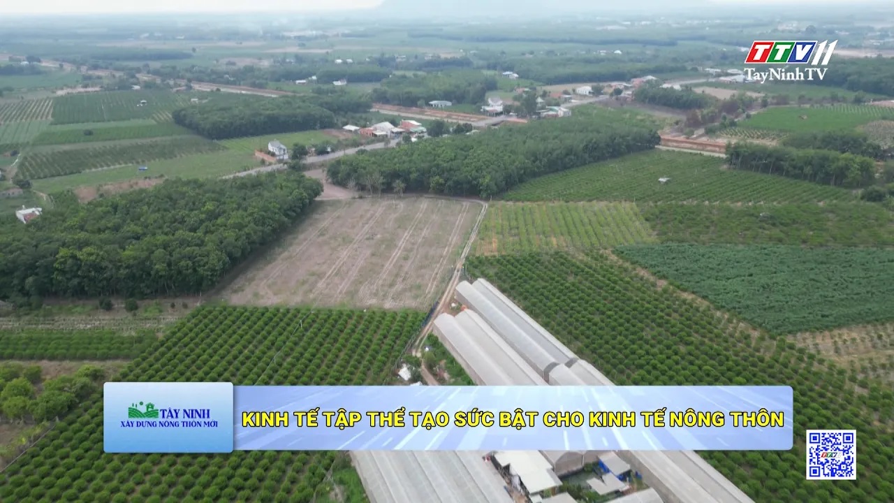 Tạo động lực thúc đẩy kinh tế nông thôn | Tây Ninh xây dựng Nông thôn mới | TayNinhTV